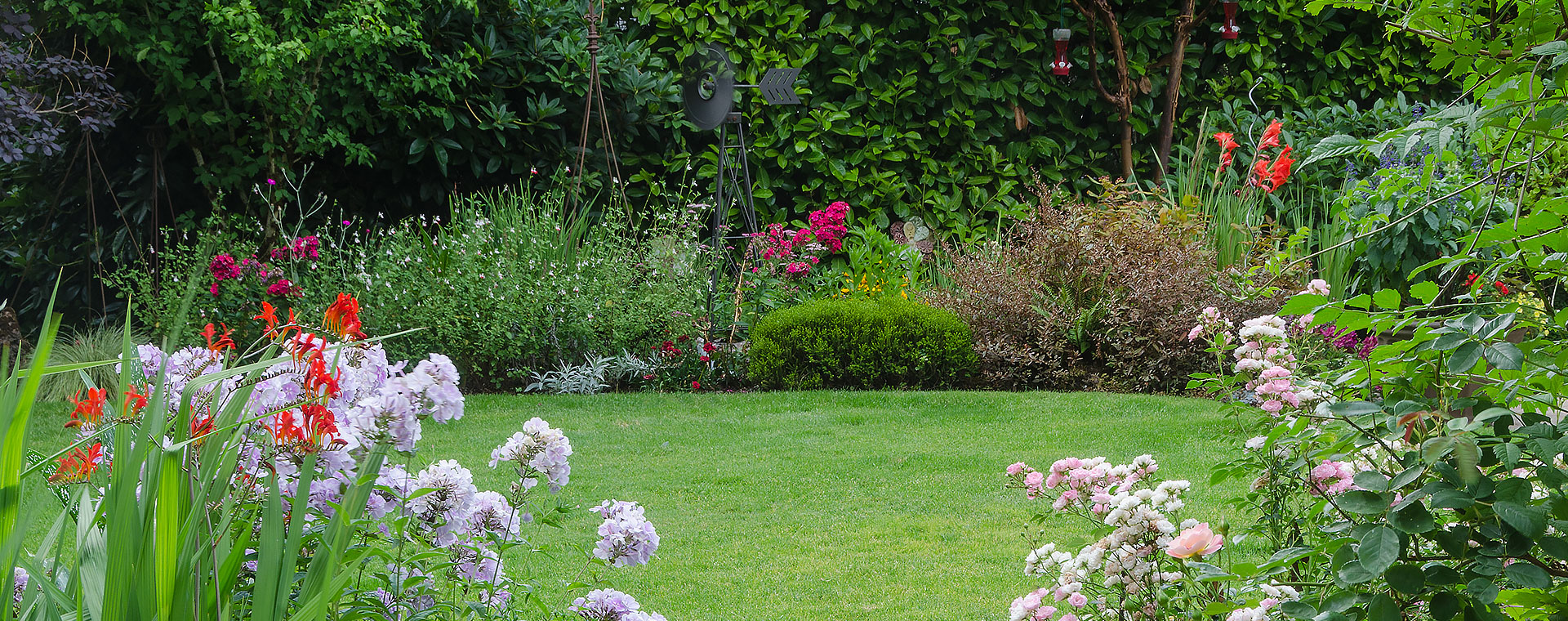 Professional Shrub Maintenance Services South West London