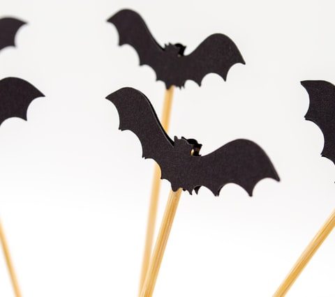Home-made Halloween garden decorations in bat shape