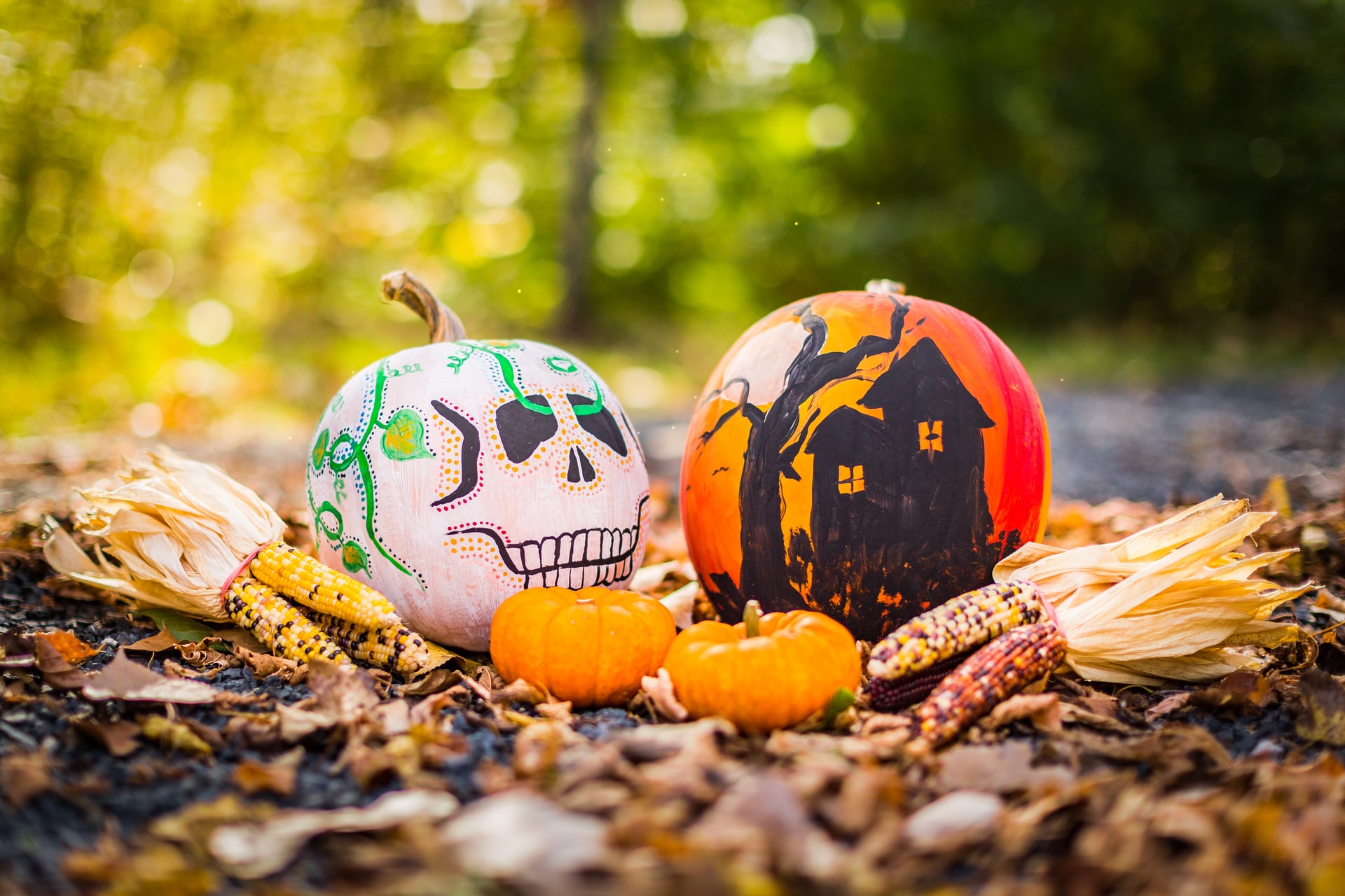 Halloween Garden Decorations 5 Simple & Spooky Ideas