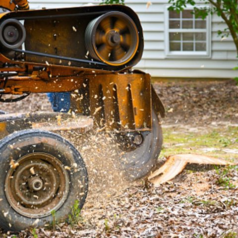 How a stump grinder works