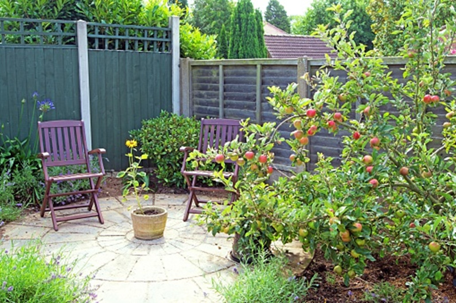 Fruit Tree Care from Planting to Pruning Take A Bough