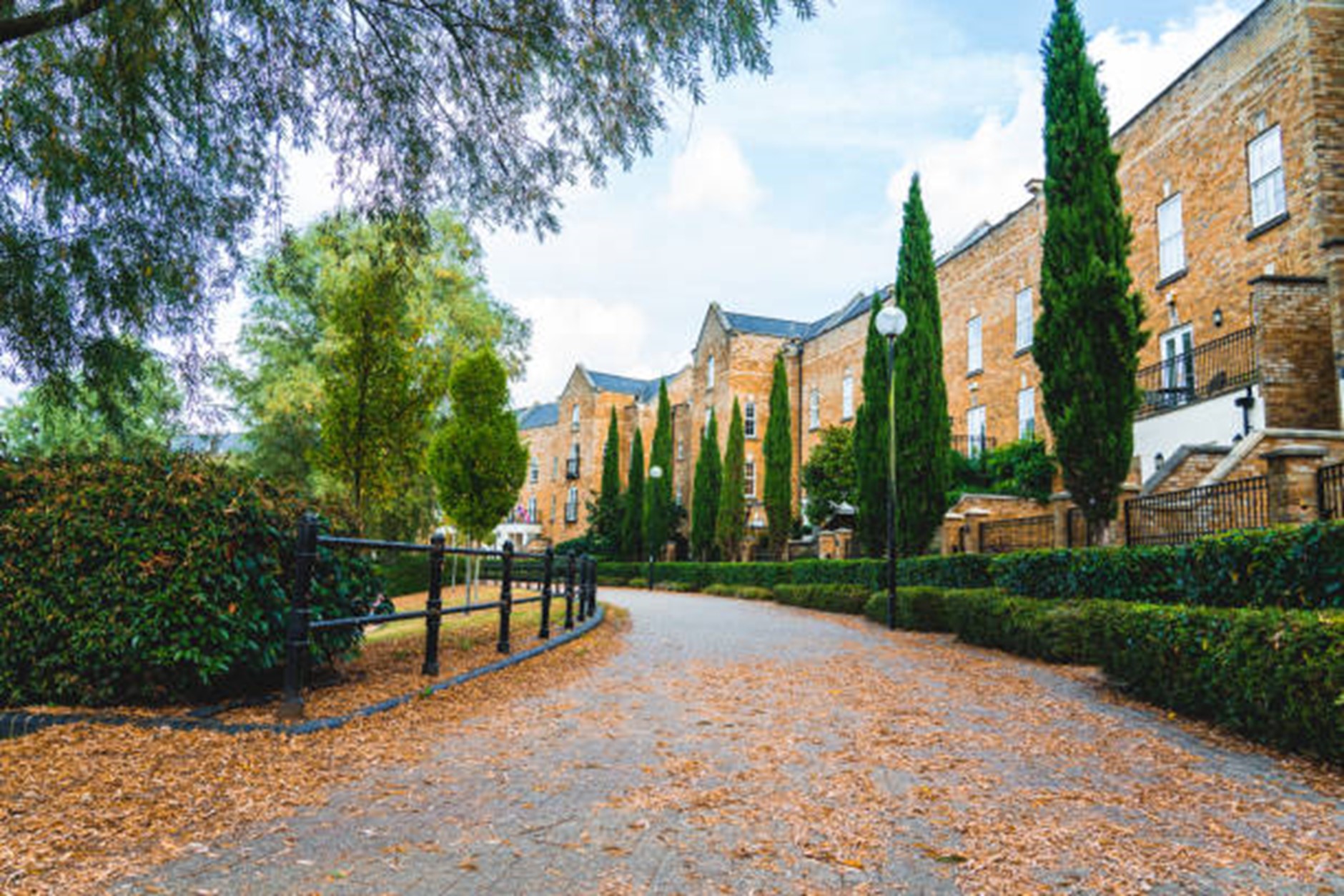 Do Trees Increase Property Value? Take A Bough Tree Care