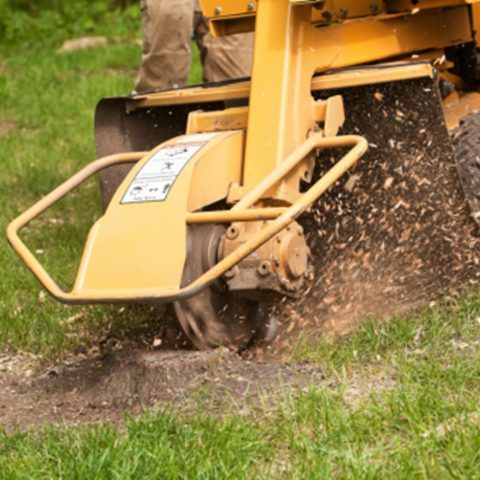 A stump grinder used during tree removal