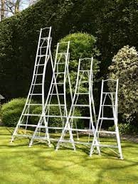Ladders of various heights used for tree surgery