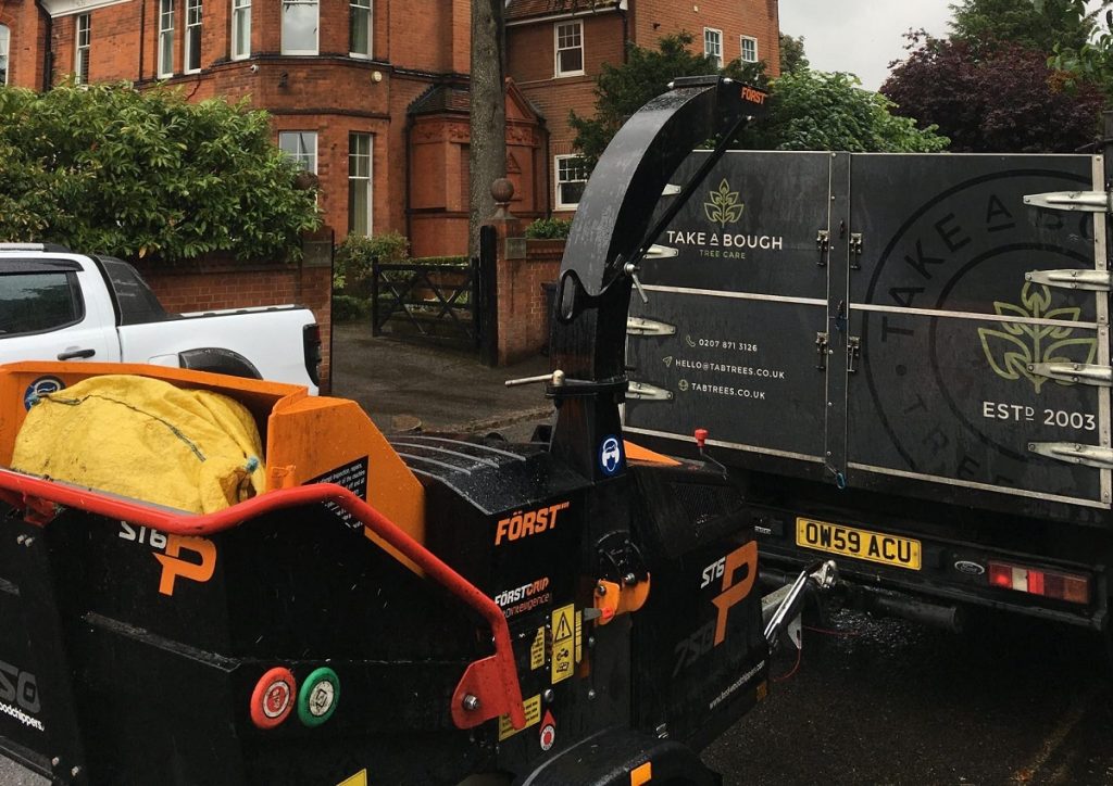 commercial tree surgery