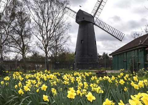Windmill Gardens in Brixton