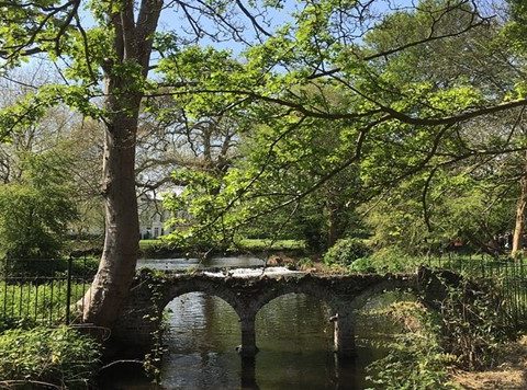 Morden Hall Park