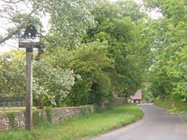 An avenue lined with trees in Norbury, south London